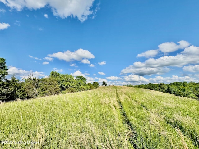 2174 Brush Grove Rd, Willisburg, KY 40078 - photo 9