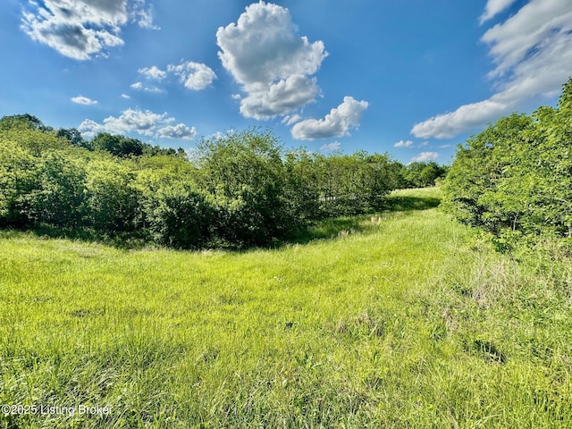 2174 Brush Grove Rd, Willisburg, KY 40078 - photo 13