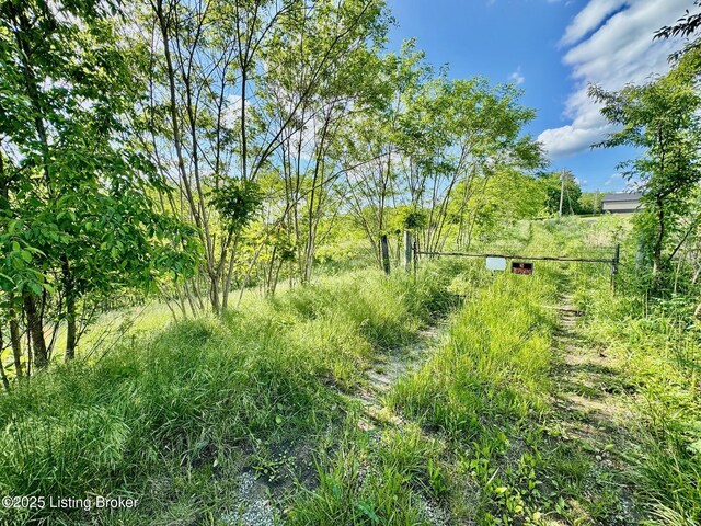 2174 Brush Grove Rd, Willisburg, KY 40078 - photo 14