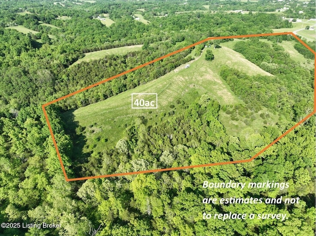 2174 Brush Grove Rd, Willisburg, KY 40078 - photo 15