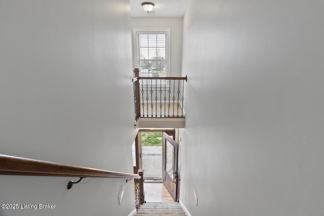 135 N Parkside Dr, Bardstown, KY 40004 - stairs featuring baseboards