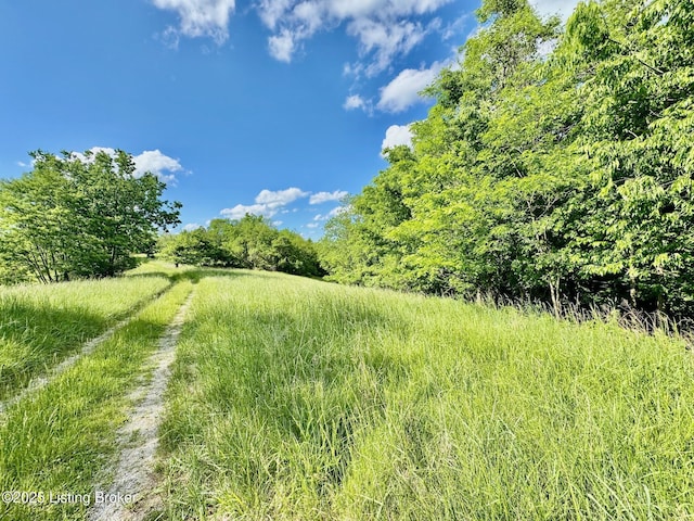 2174A Brush Grove Rd, Willisburg, KY 40078 - photo 1