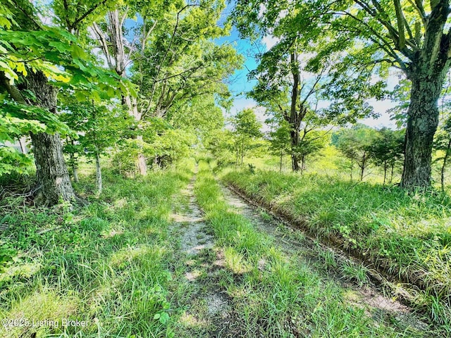 2174A Brush Grove Rd, Willisburg, KY 40078 - photo 2