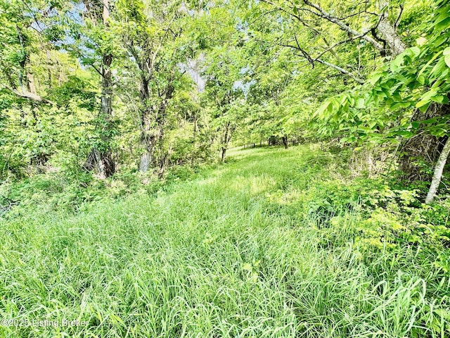 2174A Brush Grove Rd, Willisburg, KY 40078 - photo 3