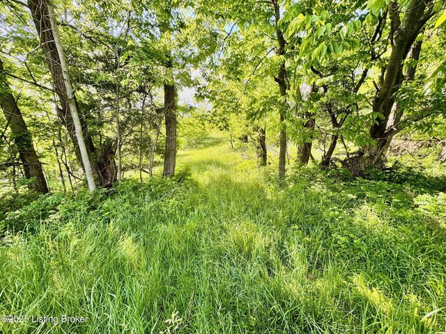 2174A Brush Grove Rd, Willisburg, KY 40078 - photo 4