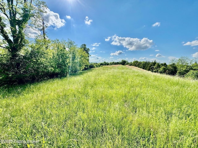 2174A Brush Grove Rd, Willisburg, KY 40078 - photo 6