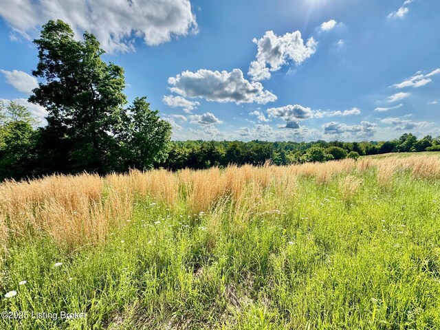 2174A Brush Grove Rd, Willisburg, KY 40078 - photo 7