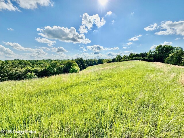 2174A Brush Grove Rd, Willisburg, KY 40078 - photo 8