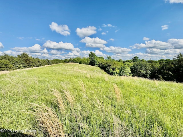 2174A Brush Grove Rd, Willisburg, KY 40078 - photo 9