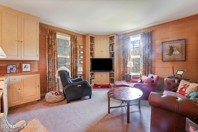 1802 Park Boundary Rd, Louisville, KY 40205 - carpeted living area featuring plenty of natural light and crown molding