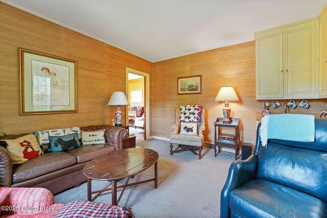 1802 Park Boundary Rd, Louisville, KY 40205 - living area featuring light carpet