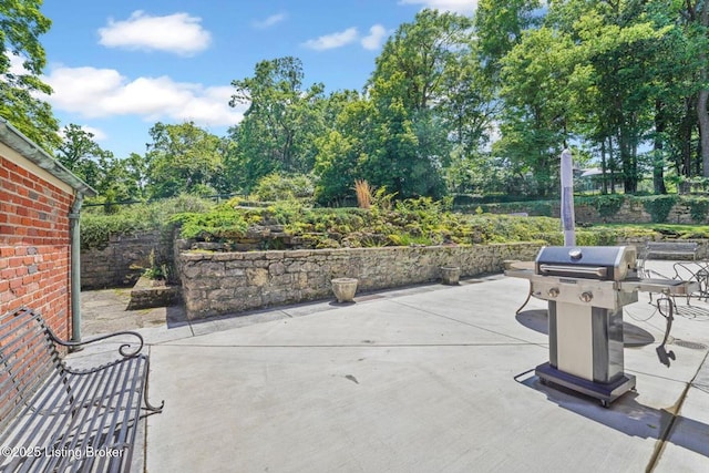 1802 Park Boundary Rd, Louisville, KY 40205 - view of patio featuring a grill and view of wooded area