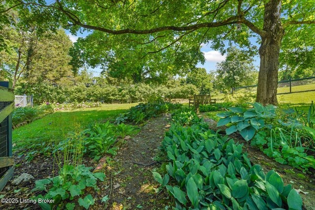 1802 Park Boundary Rd, Louisville, KY 40205 - view of nature
