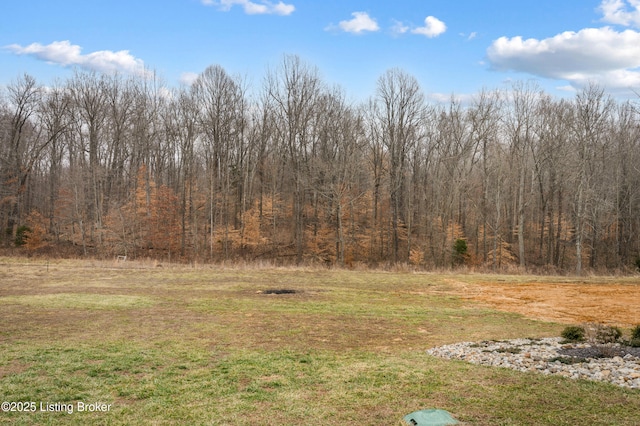 190 Foxwood Ct, Elizabethtown, KY 42701 - view of green lawn
