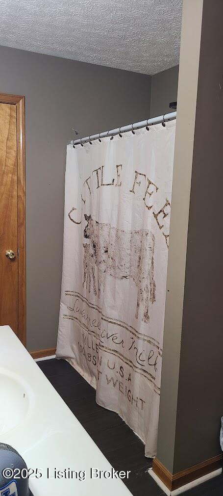 7 Dylan Ln, Upton, KY 42784 - detailed view of a textured ceiling, baseboards, curtained shower, and a sink