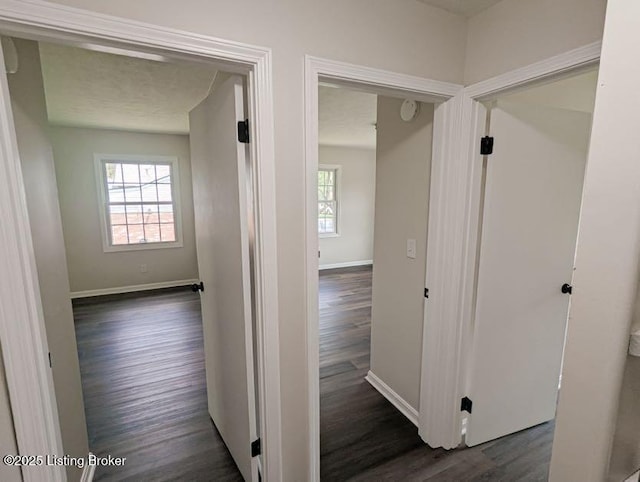 8506 Saurel Dr, Louisville, KY 40242 - photo 17