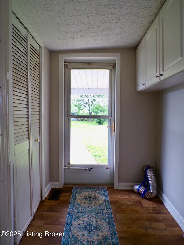 791 W Blue Lick Rd, Shepherdsville, KY 40165 - entryway featuring baseboards, plenty of natural light, a textured ceiling, and dark wood-style flooring