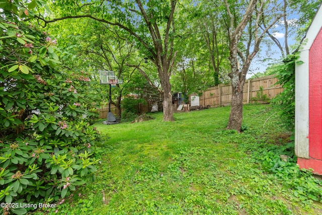 1412 Haskin Ave, Louisville, KY 40215 - view of yard