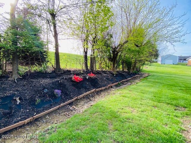606 Nally Ct, Bardstown, KY 40004 - view of grassy yard