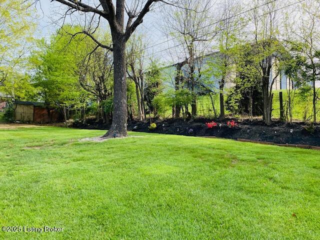 606 Nally Ct, Bardstown, KY 40004 - view of green lawn