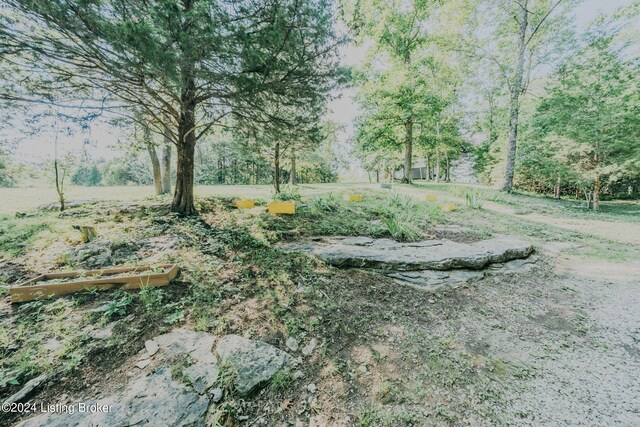 3085 Centerview Rough River Ln, Hudson, KY 40145 - view of yard