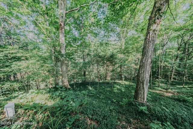 3085 Centerview Rough River Ln, Hudson, KY 40145 - view of wooded area