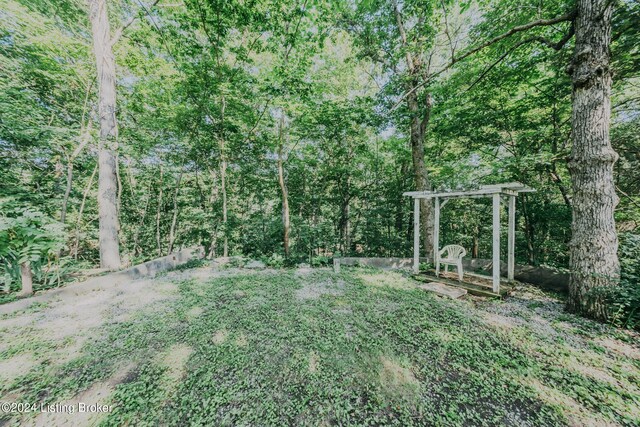 3085 Centerview Rough River Ln, Hudson, KY 40145 - view of yard with a view of trees
