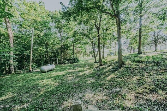 3085 Centerview Rough River Ln, Hudson, KY 40145 - view of yard