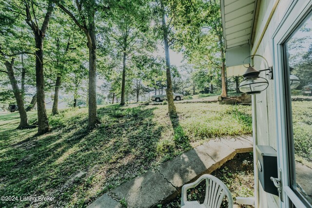 3085 Centerview Rough River Ln, Hudson, KY 40145 - view of yard