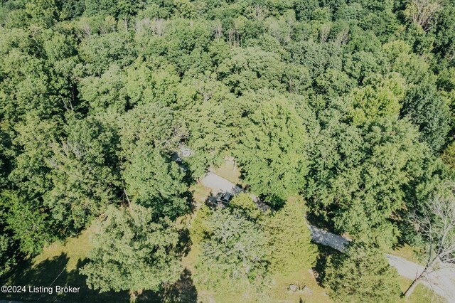 3085 Centerview Rough River Ln, Hudson, KY 40145 - aerial view of property and surrounding area with a heavily wooded area