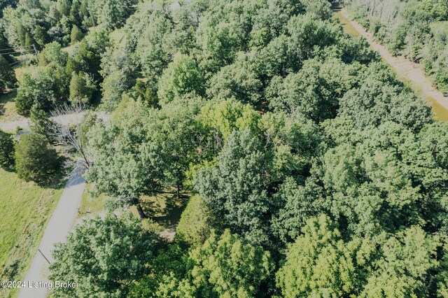 3085 Centerview Rough River Ln, Hudson, KY 40145 - drone / aerial view of a heavily wooded area