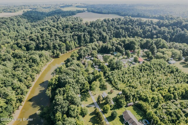 3085 Centerview Rough River Ln, Hudson, KY 40145 - aerial view of a forest