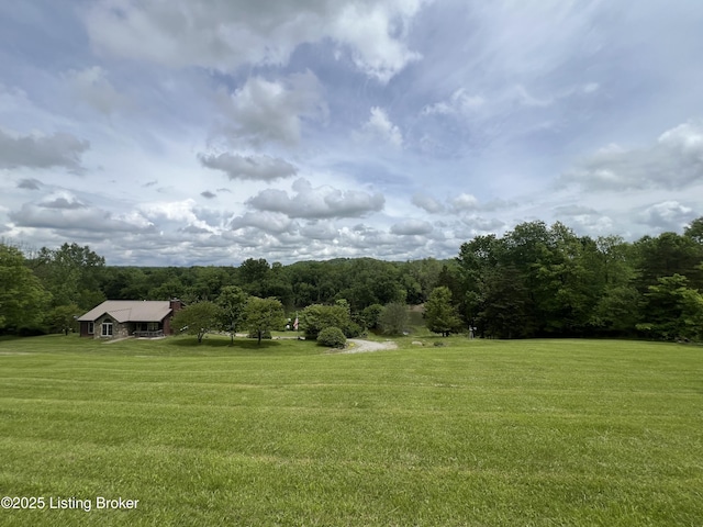 14452 River Rd, Campbellsburg, KY 40011 - photo 1