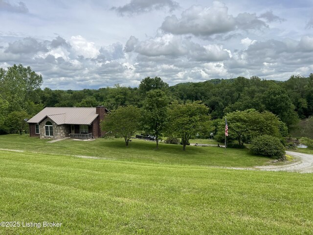 14452 River Rd, Campbellsburg, KY 40011 - photo 4