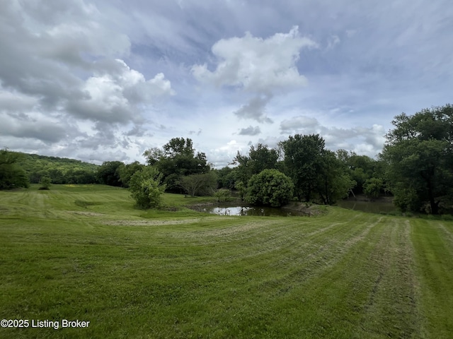 14452 River Rd, Campbellsburg, KY 40011 - photo 9