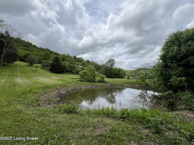 14452 River Rd, Campbellsburg, KY 40011 - photo 10