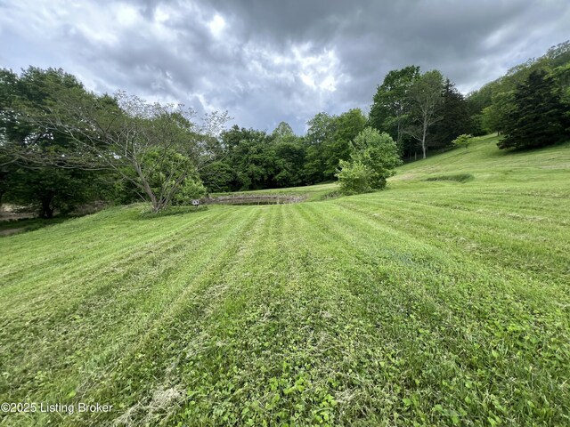 14452 River Rd, Campbellsburg, KY 40011 - photo 14