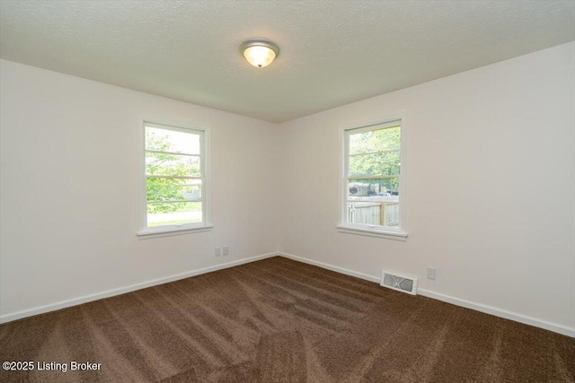 6100 Jessamine Ln, Louisville, KY 40258 - unfurnished room with dark colored carpet, healthy amount of natural light, baseboards, and a textured ceiling