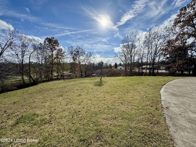 11569 New Haven Rd, New Haven, KY 40051 - view of grassy yard
