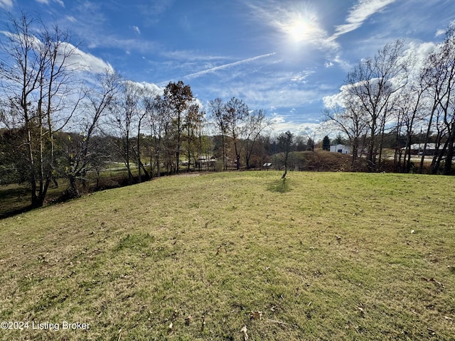 11569 New Haven Rd, New Haven, KY 40051 - view of green lawn