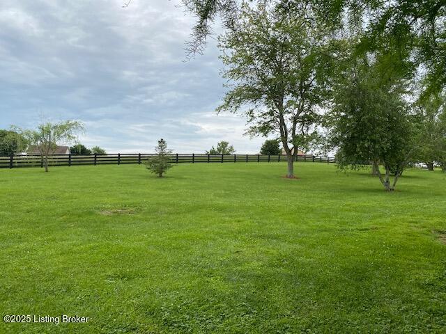 6780 Murrays Run Rd, Coxs Creek, KY 40013 - view of yard