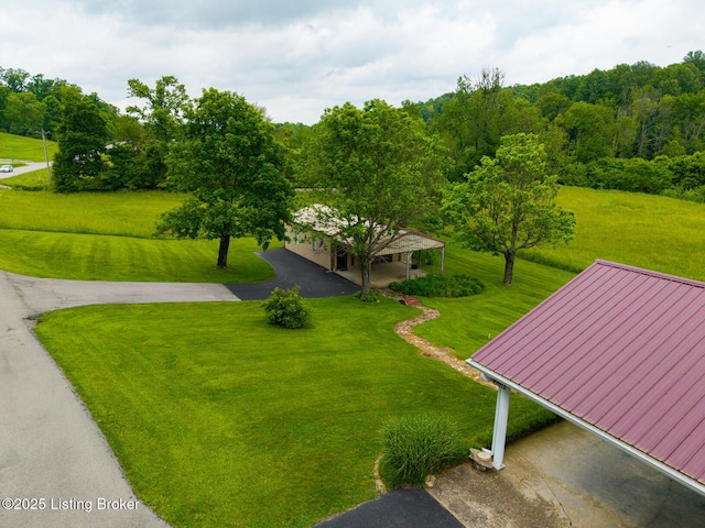 2200 Anneta Rd, Leitchfield, KY 42754 - view from above of property