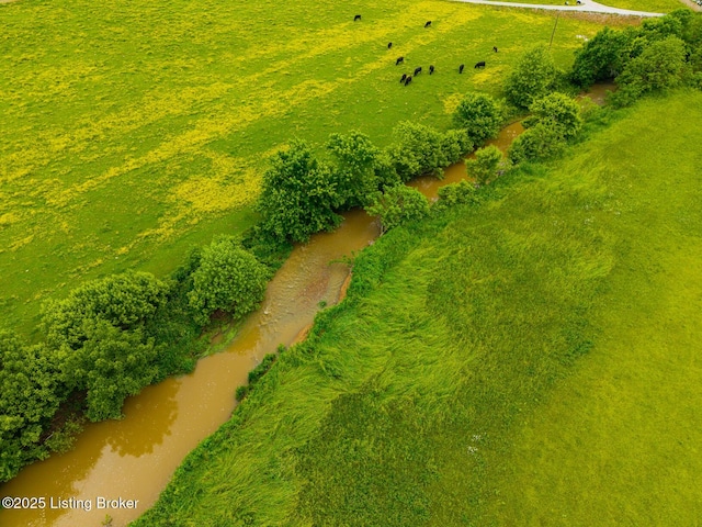 2200 Anneta Rd, Leitchfield, KY 42754 - aerial view