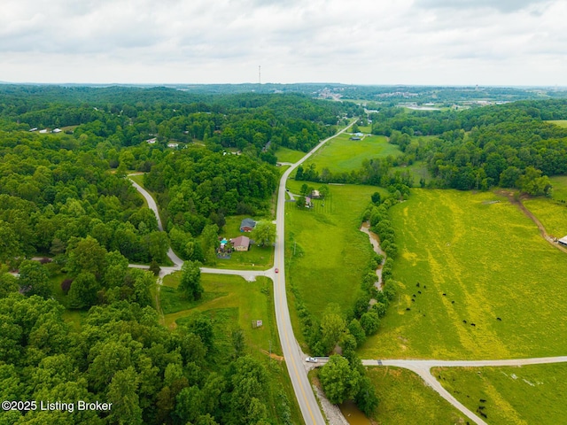 2200 Anneta Rd, Leitchfield, KY 42754 - overview of rural landscape