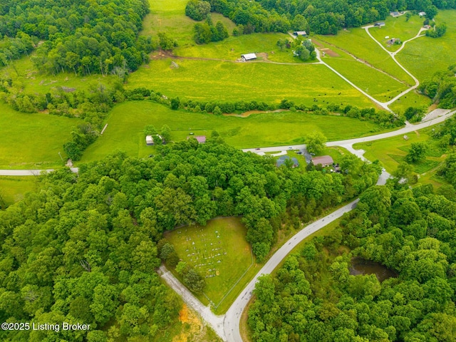 2200 Anneta Rd, Leitchfield, KY 42754 - overview of rural landscape