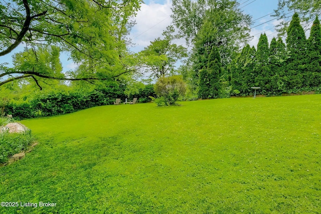 view of grassy yard