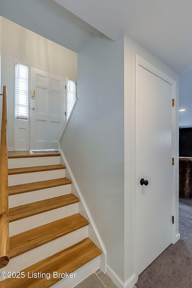 staircase with carpet floors