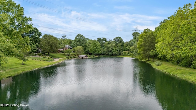 10304 Spring Meyer Rd, Louisville, KY 40223 - water view