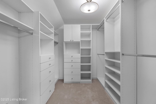 10304 Spring Meyer Rd, Louisville, KY 40223 - walk in closet with light colored carpet