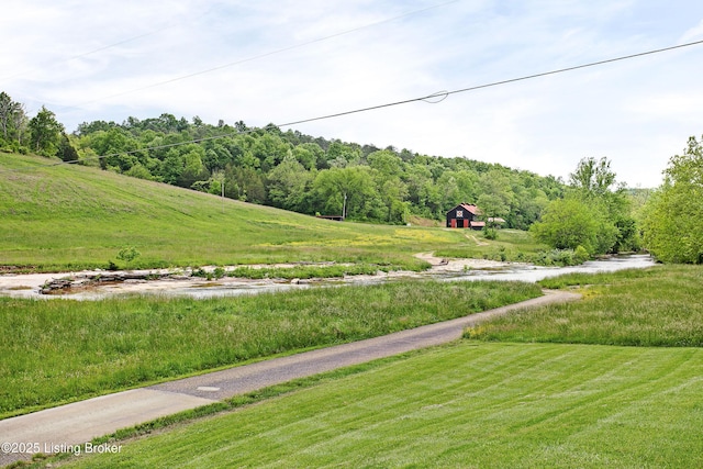 198 Mill Creek Ln, Bardstown, KY 40004 - view of yard with a view of trees